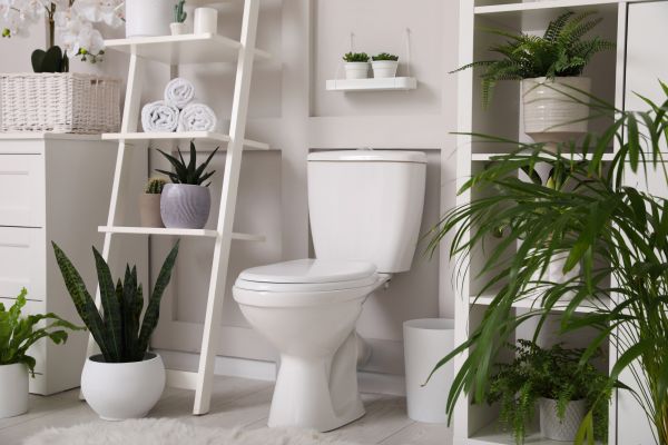 Cost of Toilet Repair in Lancaster
