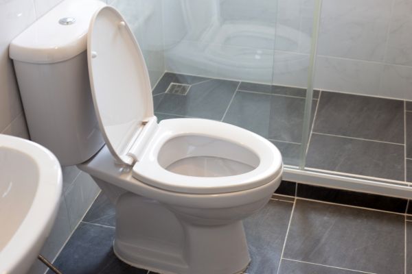 Cost of Toilet Replacement in Lancaster
