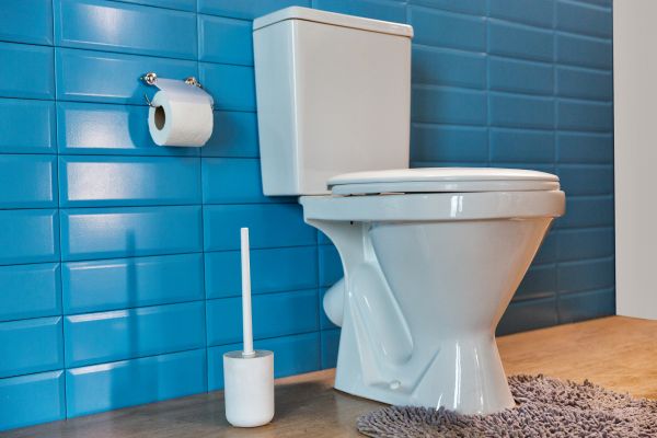 Cost of Toilet Tank Repair in Lancaster